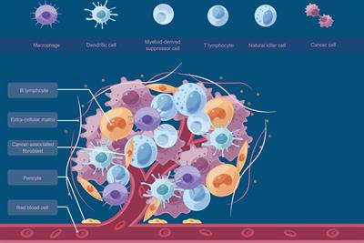 Metabolism and senescence in the immune microenvironment of osteosarcoma: focus on new therapeutic strategies